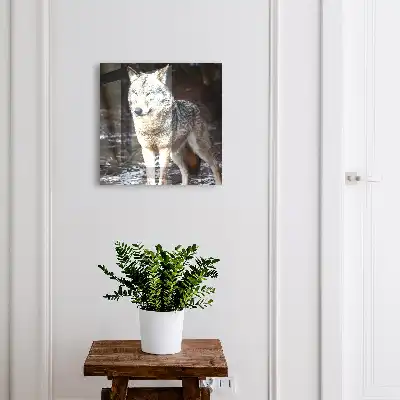 Ein Wolf in einem Wald voller Gegensätze