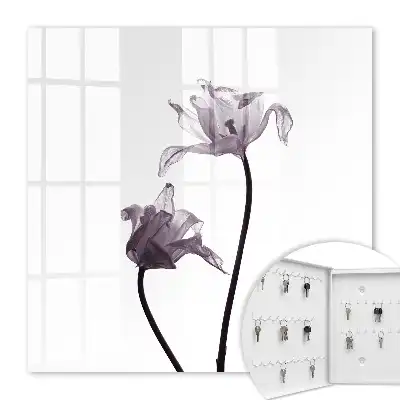 Minimalistische Blumen vor hellem Hintergrund
