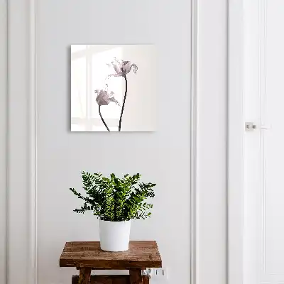 Minimalistische Blumen vor hellem Hintergrund