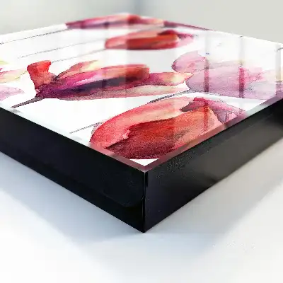 Tulpen in Rot und Rosa