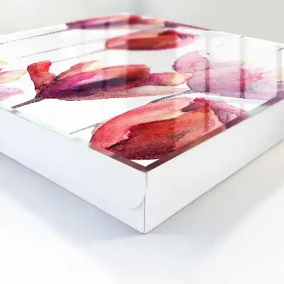 Tulpen in Rot und Rosa