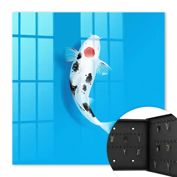 Koi-Karpfen vor blauem Hintergrund