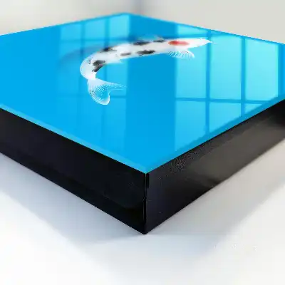 Koi-Karpfen vor blauem Hintergrund