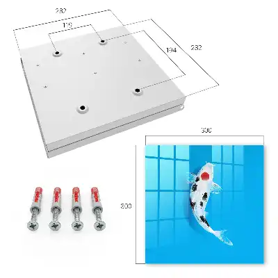 Koi-Karpfen vor blauem Hintergrund