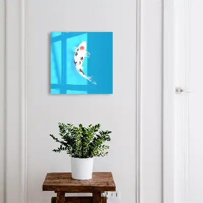 Koi-Karpfen vor blauem Hintergrund