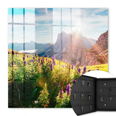 Eine Bergidylle mit Blumen und Sonne