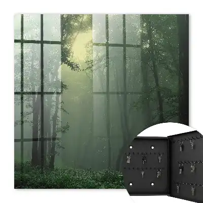 Waldnebel im Morgennebel