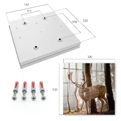 Hirsche im Wald bei Sonnenuntergang