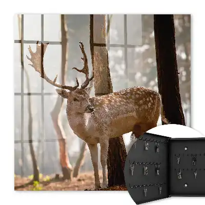 Hirsche im Wald bei Sonnenuntergang