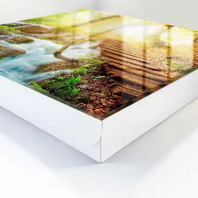Eine Waldecke im grünen Wald