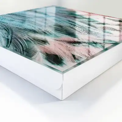 Pastellblaue und rosa Federn