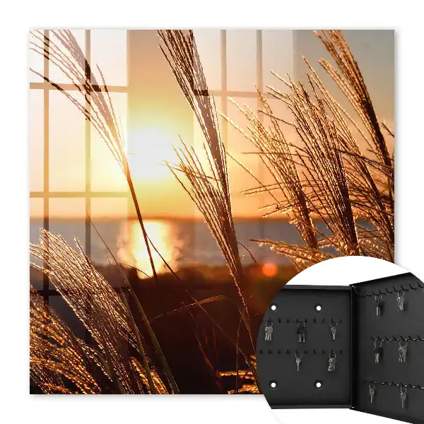Sonnenuntergang über dem Meer mit Gras