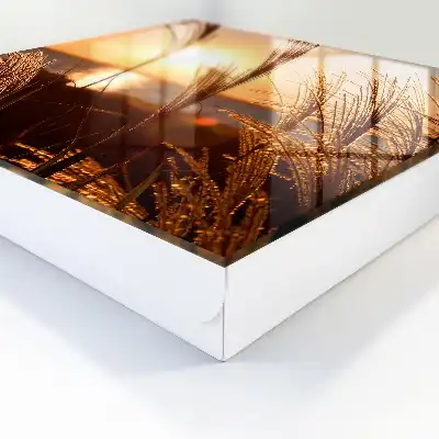 Sonnenuntergang über dem Meer mit Gras