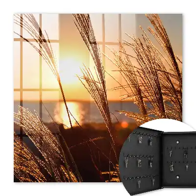 Sonnenuntergang über dem Meer mit Gras