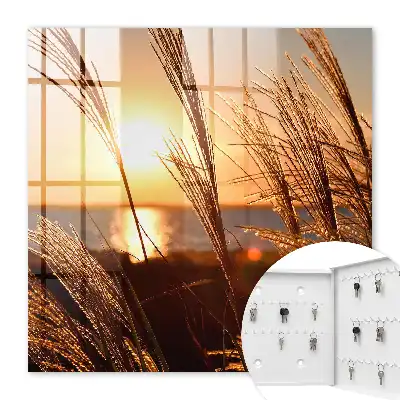 Sonnenuntergang über dem Meer mit Gras