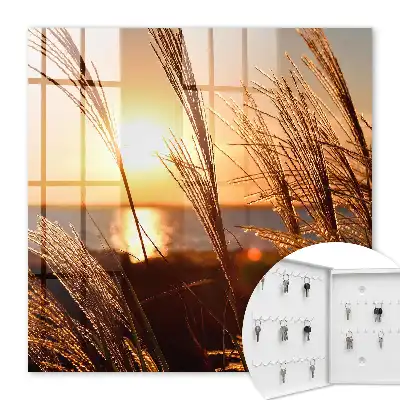 Sonnenuntergang über dem Meer mit Gras