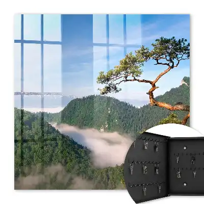 Berglandschaft mit schneebedeckten Bergen