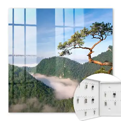 Berglandschaft mit schneebedeckten Bergen