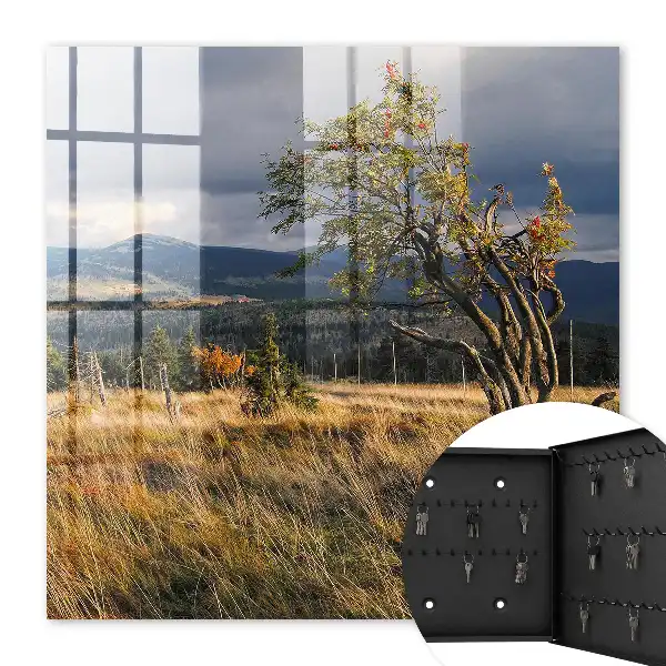 Herbstlandschaft mit Bäumen und Himmel