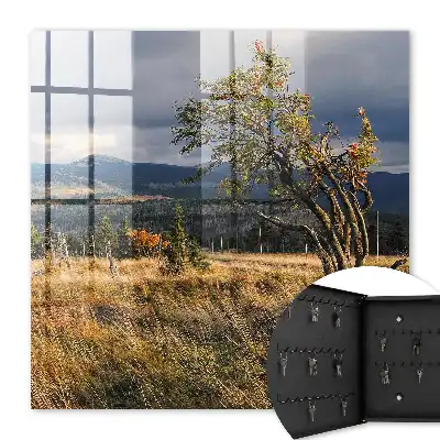 Herbstlandschaft mit Bäumen und Himmel