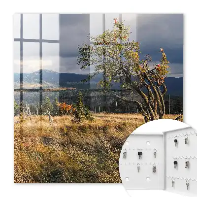 Herbstlandschaft mit Bäumen und Himmel
