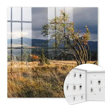 Herbstlandschaft mit Bäumen und Himmel