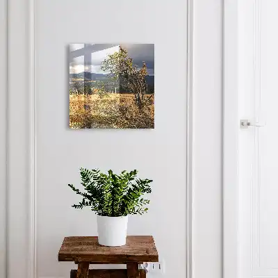 Herbstlandschaft mit Bäumen und Himmel