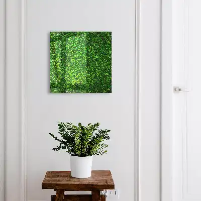 Ein grüner Garten spendet Ruhe
