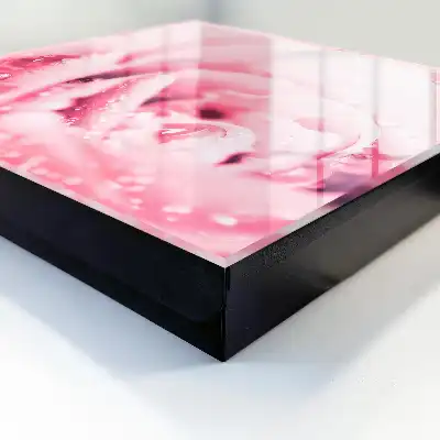 Rosenzartheit mit Tautropfen