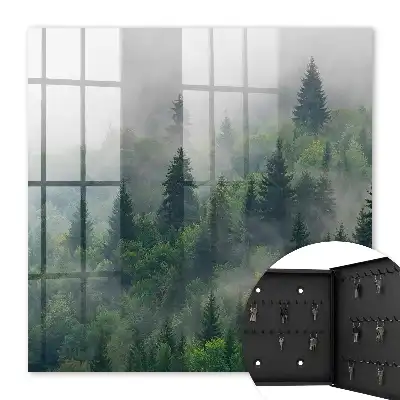 Nebeliger Wald mit geheimnisvoller Atmosphäre