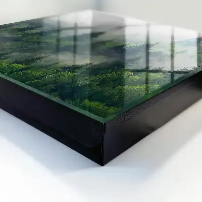 Nebeliger Wald mit geheimnisvoller Atmosphäre