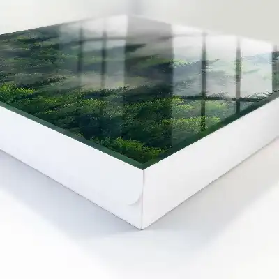 Nebeliger Wald mit geheimnisvoller Atmosphäre