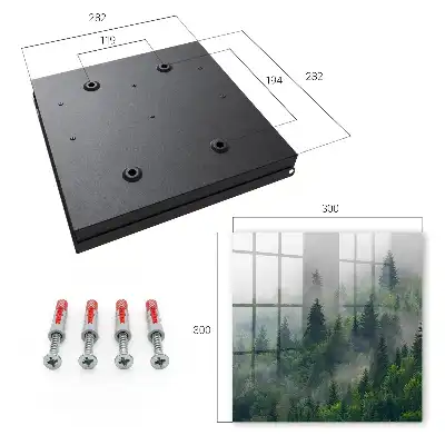 Nebeliger Wald mit geheimnisvoller Atmosphäre
