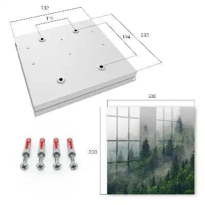 Nebeliger Wald mit geheimnisvoller Atmosphäre