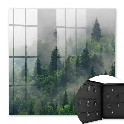 Nebeliger Wald mit geheimnisvoller Atmosphäre