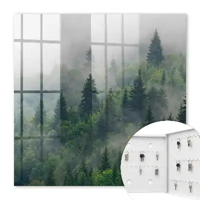 Nebeliger Wald mit geheimnisvoller Atmosphäre