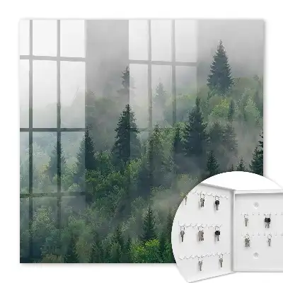 Nebeliger Wald mit geheimnisvoller Atmosphäre