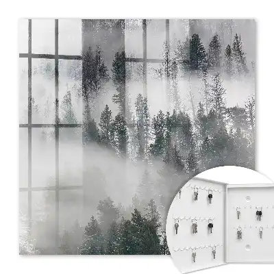 Nebelverhangenes Grün für eine friedliche Atmosphäre