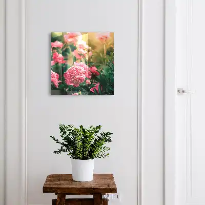 Rosa Pfingstrosen in natürlicher Umgebung