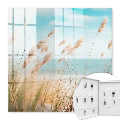 Sommerstrand mit Seegras