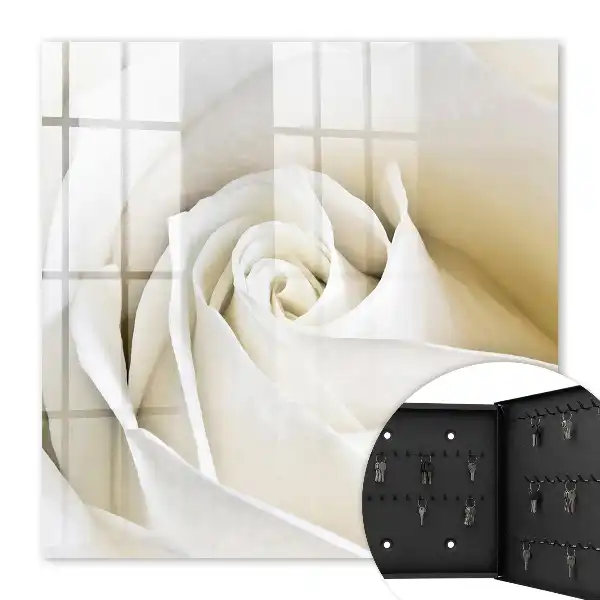Eine weiße Rose mit zarten Blütenblättern