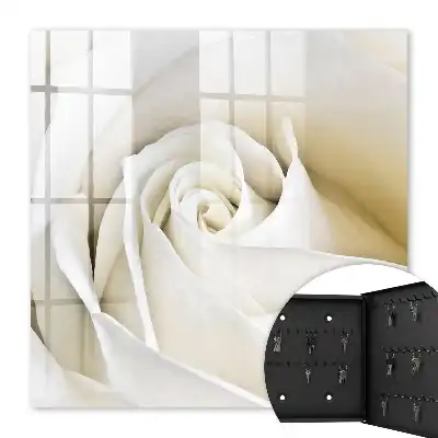 Eine weiße Rose mit zarten Blütenblättern