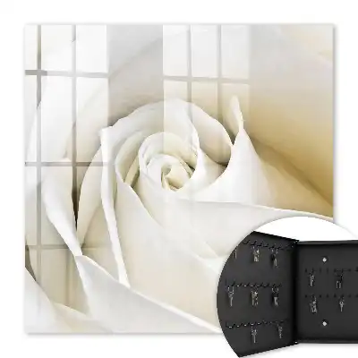 Eine weiße Rose mit zarten Blütenblättern