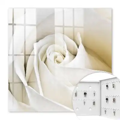 Eine weiße Rose mit zarten Blütenblättern