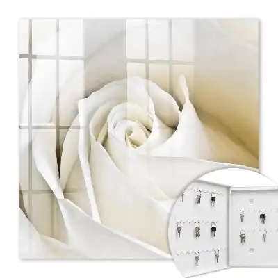 Eine weiße Rose mit zarten Blütenblättern