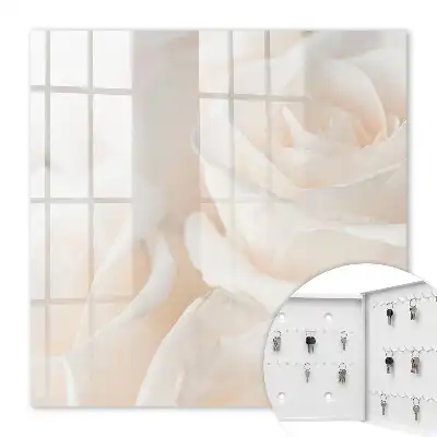Cremige Rosen in einer beruhigenden Komposition