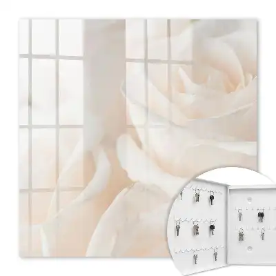 Cremige Rosen in einer beruhigenden Komposition