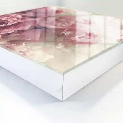 Cremefarbene und rosa Pfingstrosenblüten
