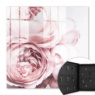 Rosa Schönheit voller Eleganz