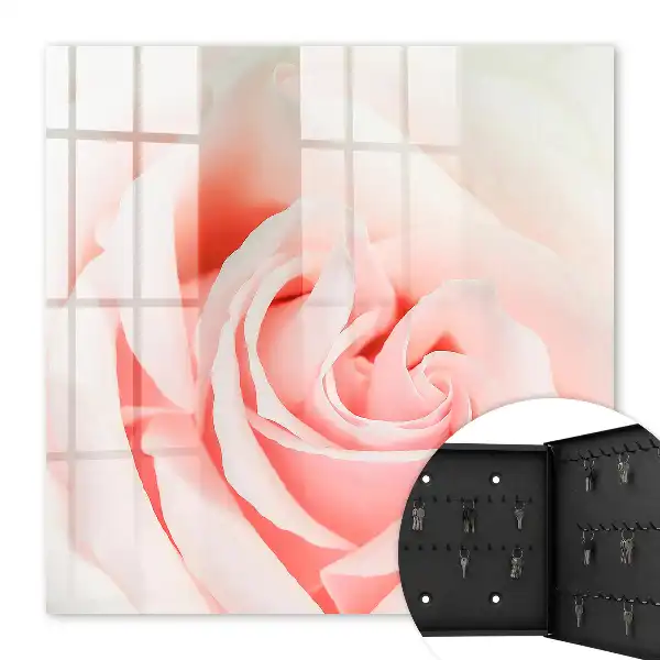 Romantische Rose in Pastelltönen